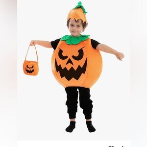 Toddler Halloween costume with hat and Basket size 3T